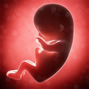 grossesse-3e-mois